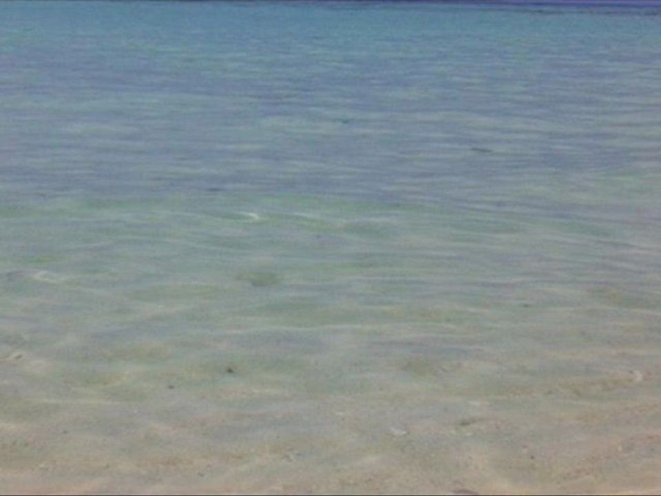 Belles images plages et nature