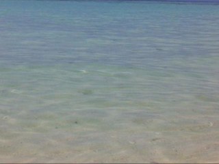 Belles images plages et nature