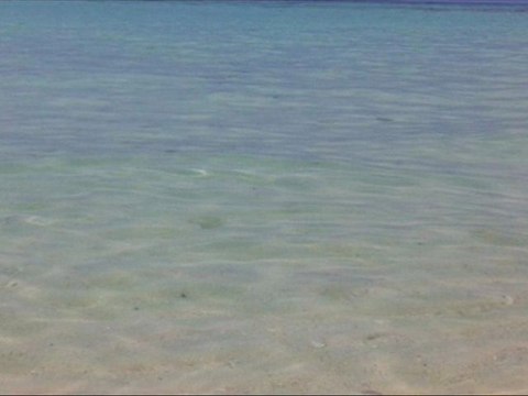 Belles images plages et nature