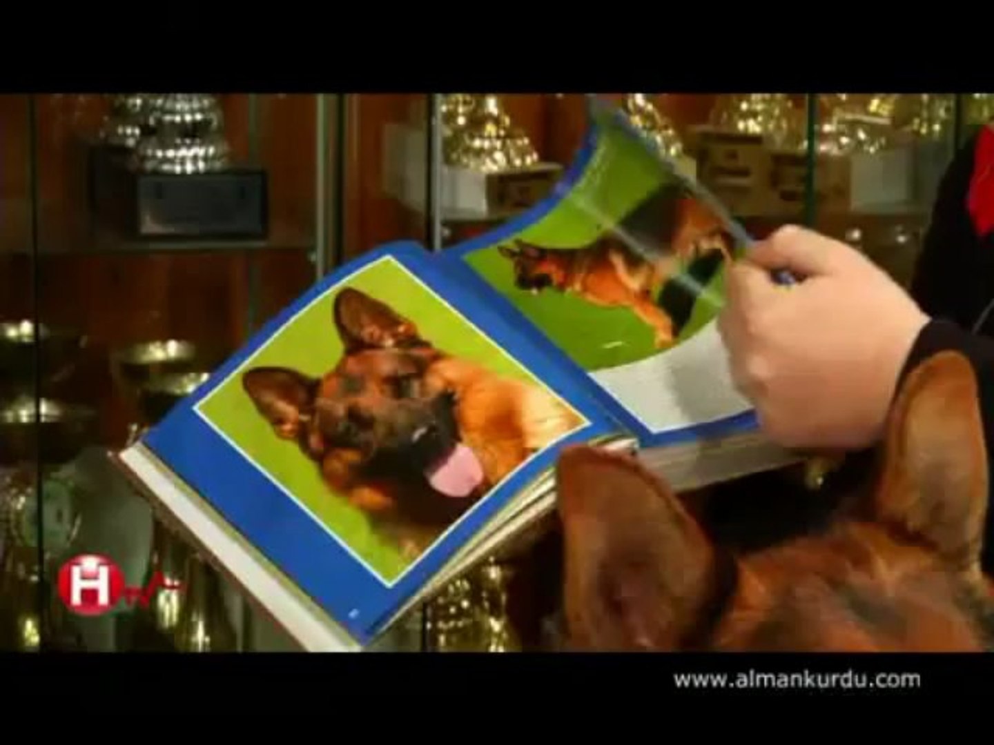 PET PRESTİJ / PET SÜPERMARKET