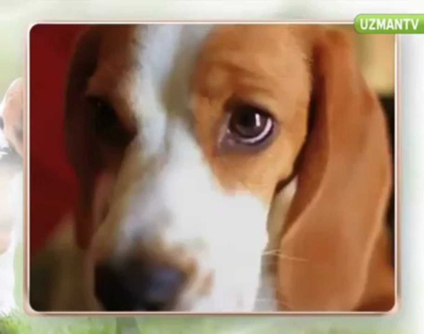 ⁣PET PRESTİJ / PET SÜPERMARKET
