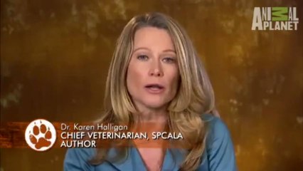 PET PRESTİJ / PET SÜPERMARKET