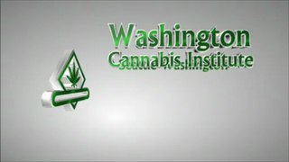 Cannabis Law in California