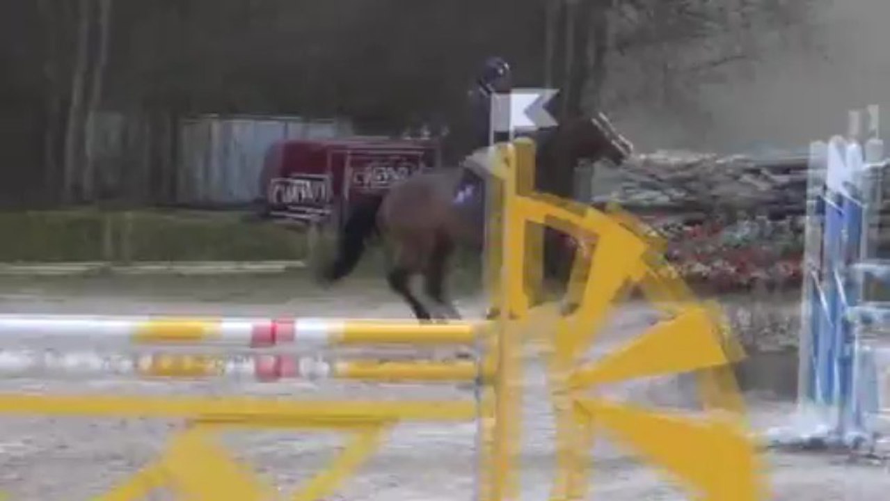 Tennessee / 6 ans Barbizon