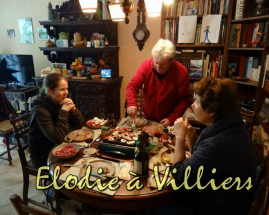 ELODIE A VILLIERS