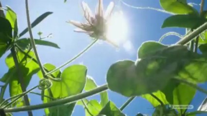 Allah'ın Esmaları 18. Er Rahman isminin anlamı ve özellikleri okyay dernegi