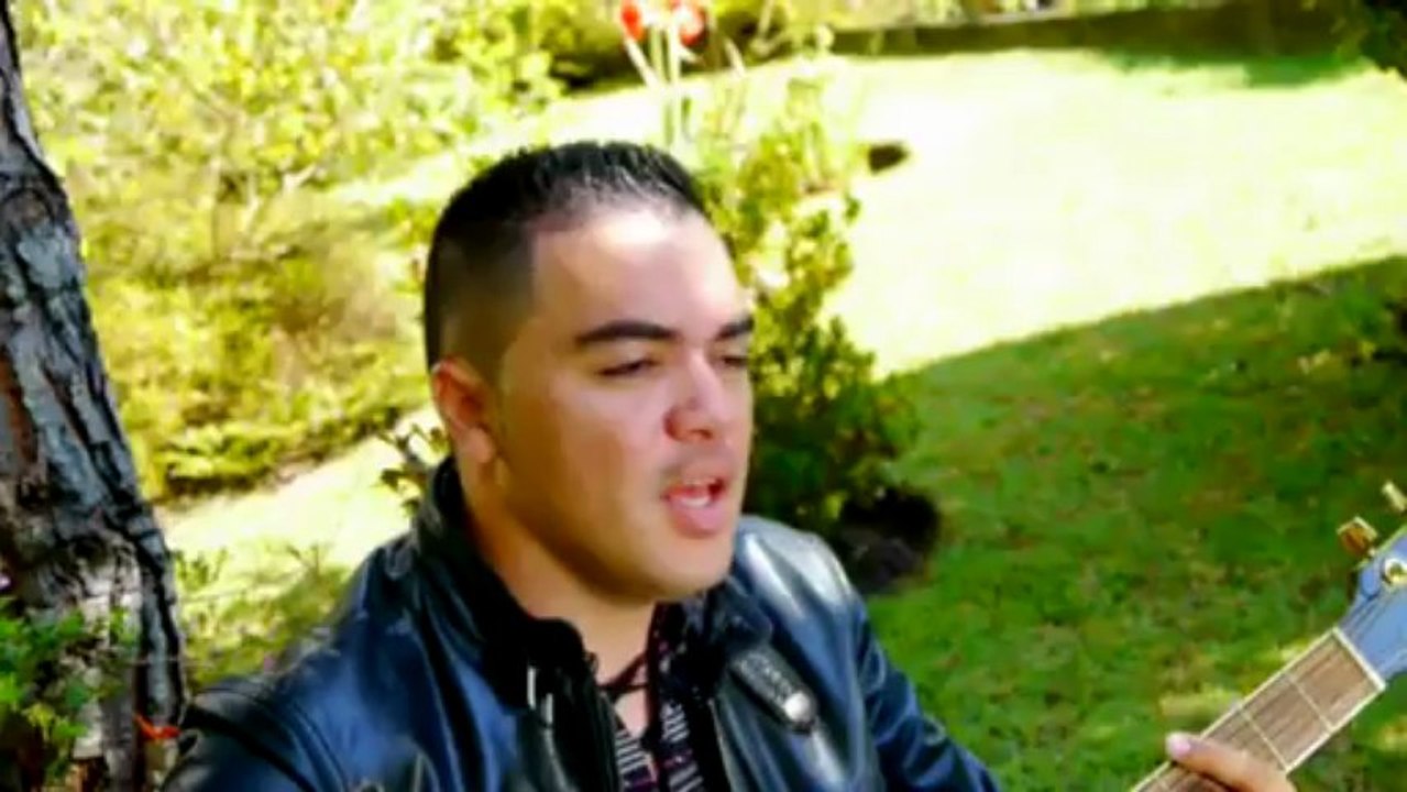 Olivier Hoarau - Ma demande