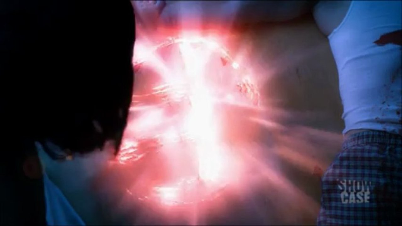309 P3/3