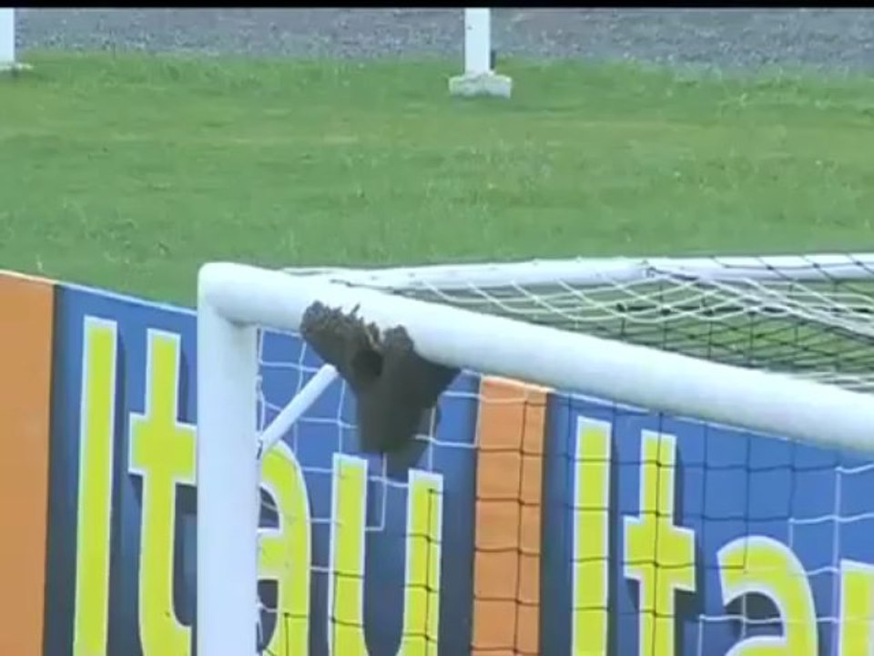 Neulich in Brasilien