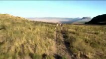 Deportes extremos - Robert Mennen choca con un ciervo a 60 kmh
