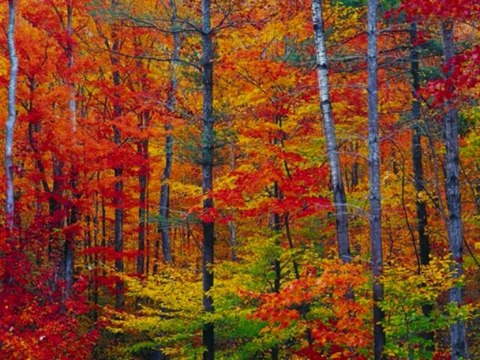 16. Rızkı Verenin Allahu Teala Olduğunu Bilmek Lazım