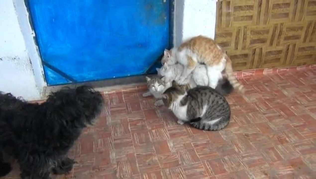 Mart ayı...  :)