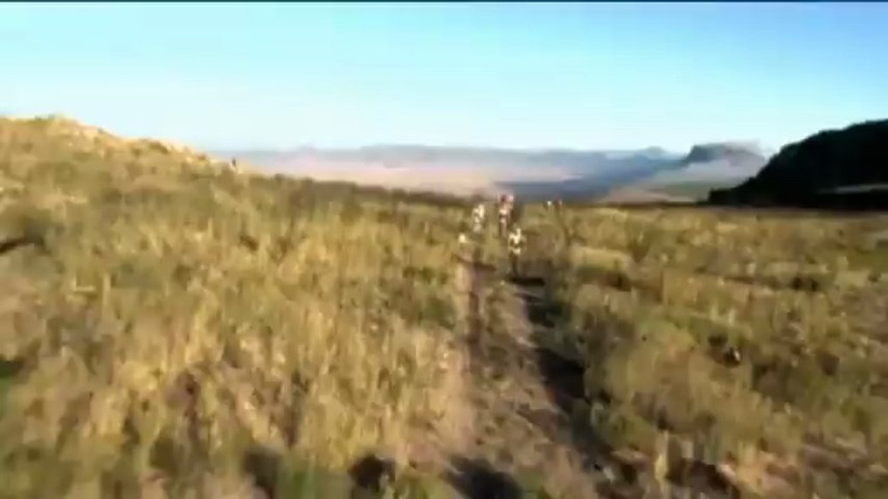 Crash mit 60 km/h! Biker und Reh krachen zusammen