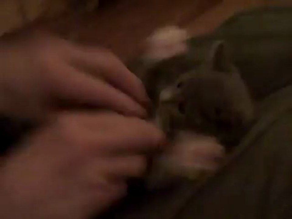 all intercast love marriage problems solution babaji +91-9915243009