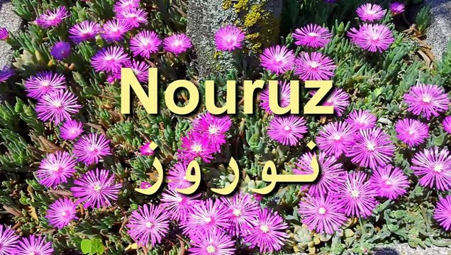 Nouruz (نوروز) - New Year - by Josef Wolfgang Olt
