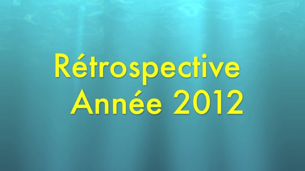 Rétrospective 2012