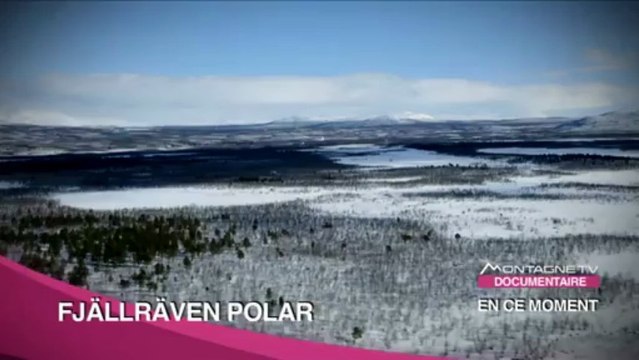 Fjallraven Polar 2012 - Bande Annonce