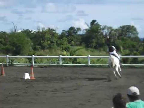 17.03.13 - club 3 GP - Cassandre et Kynzia