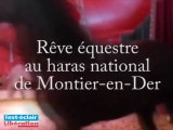 Rêve équestre à Montier-en-Der