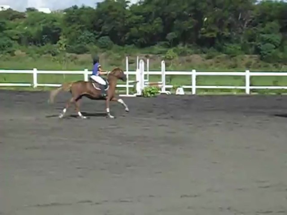 17.03.13 - club 3 GP - barrage Lou et Ile de voeuil