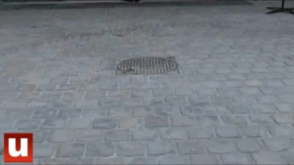 Des débuts timides au marché des Halles Boulingrin