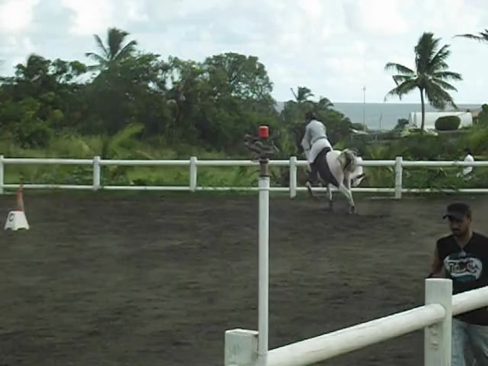 17.03.13 - club 2 GP - Margaux et Sexpistol