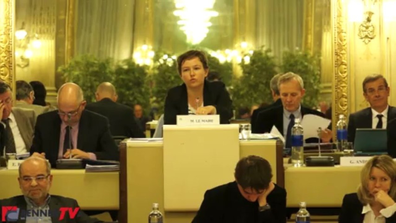 Conseil Municipal : l'opposition attaque sur "l'alcoolisation massive des jeunes" à Rennes