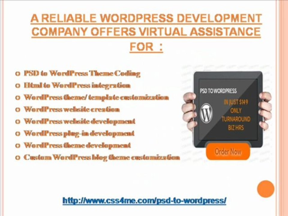 Professional WordPress Plugin Development Services To Enhance Your Website