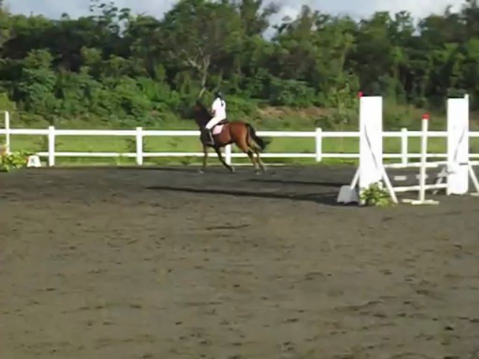 17.03.13 - club 2 GP - barrage Hasna et Minos