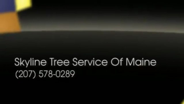 Skyline Tree Service Of Maine (207) 578-0289