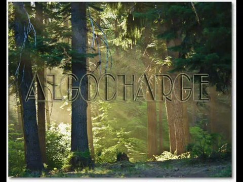 payment gateway providers