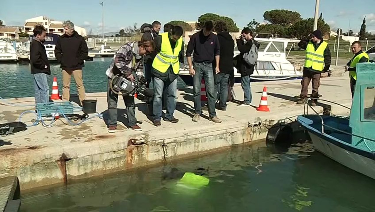 Le port du Barcarès parmi les "ports exemplaires" du projet NAPPEX