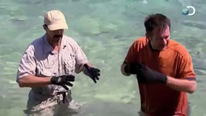 Il se fait bouffer la jambe par un requin