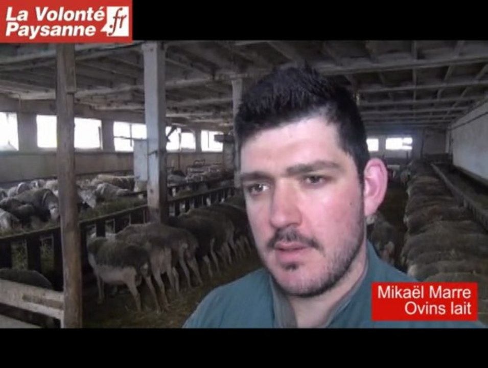 1ers Trophées élevage ovins : un jeune Aveyronnais récompensé