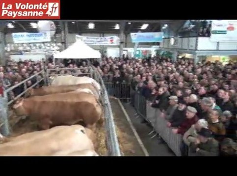 Bœufs de Pâques 2013 : enchères élevées à Baraqueville (Aveyron)