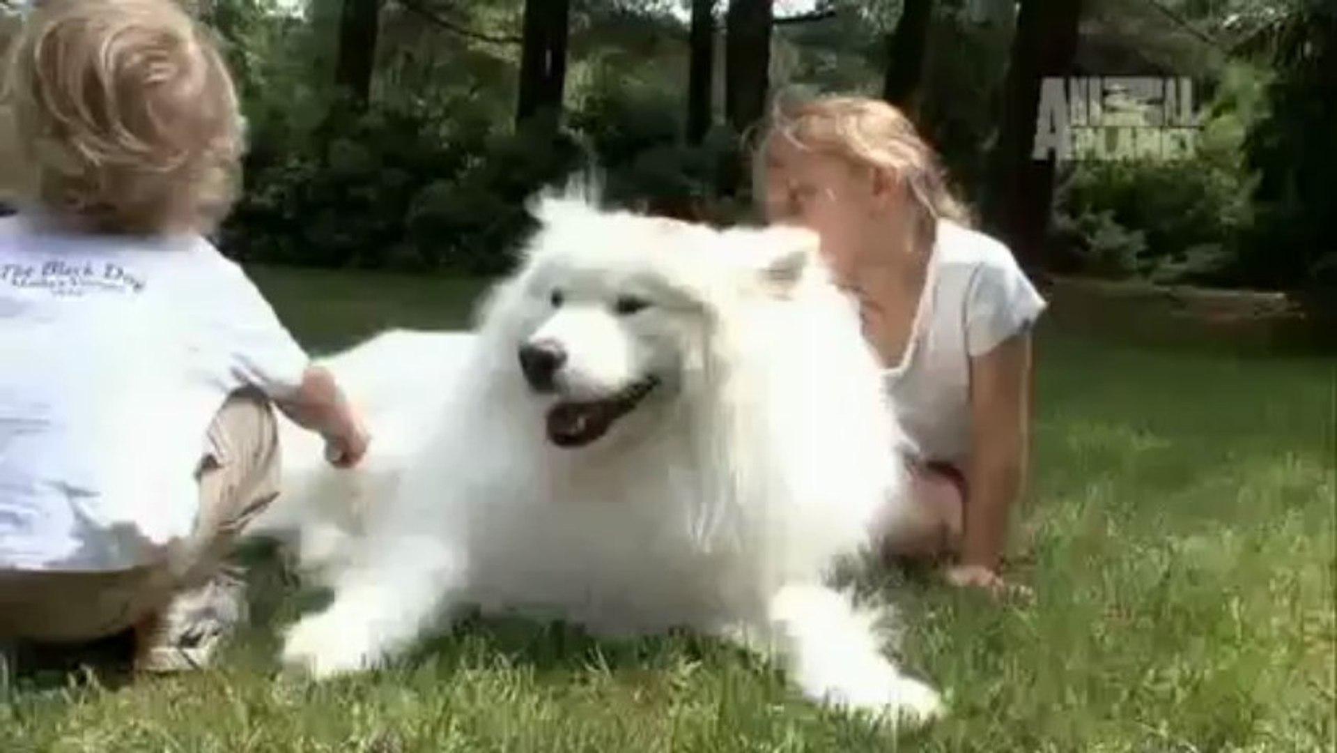 PET PRESTİJ / PET SÜPERMARKET