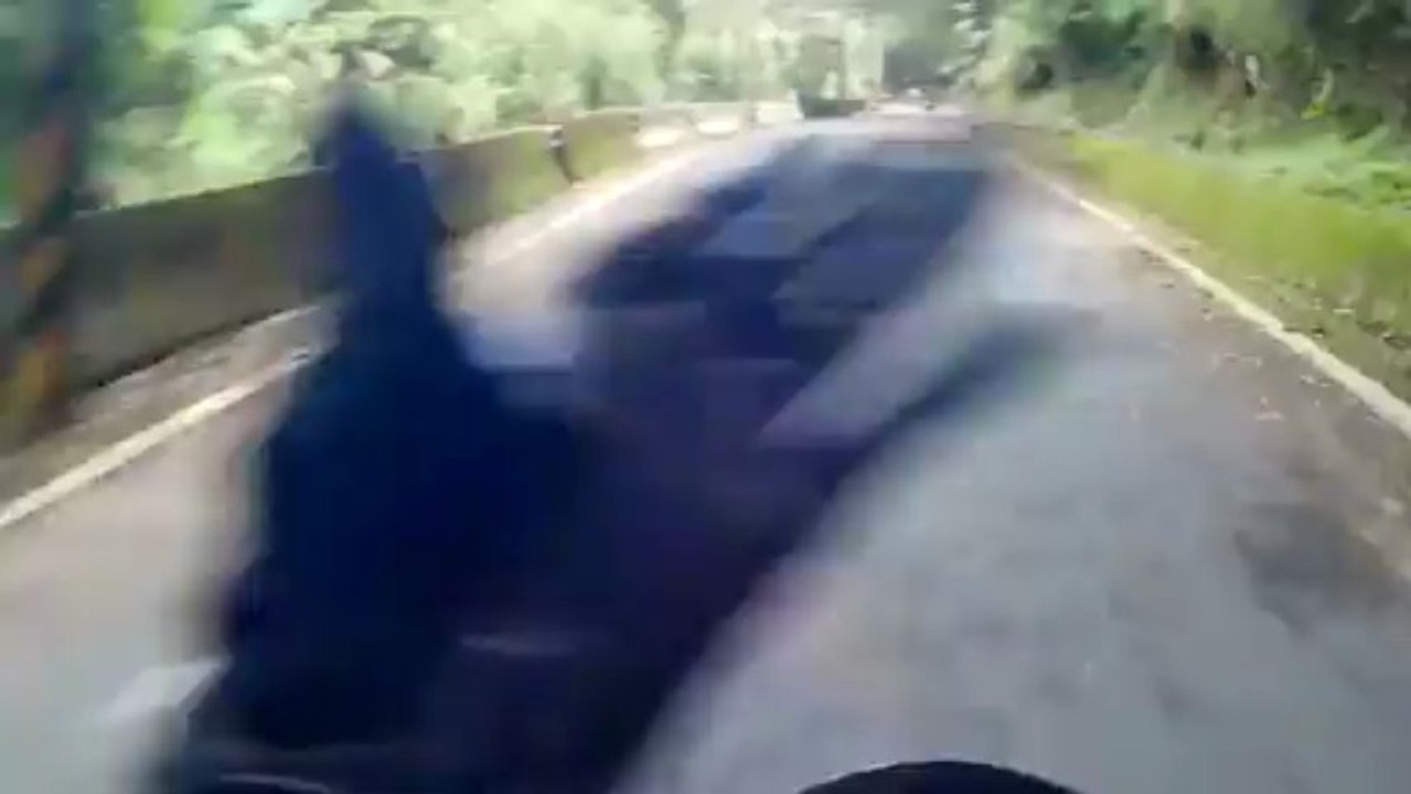 Ninja Pack Killing Puppy