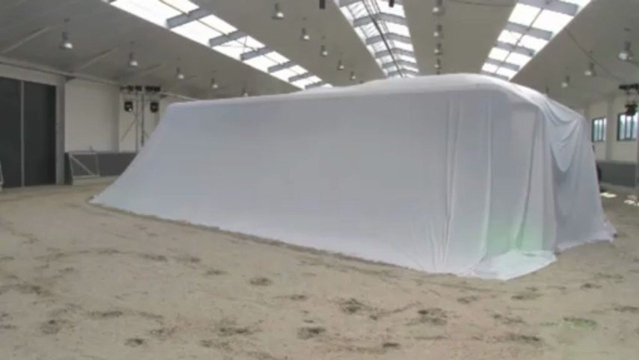 Gallopieren die Fohlen im neuen Bus nach Europa?