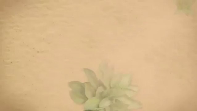 Richter Landscape 801-292-6527