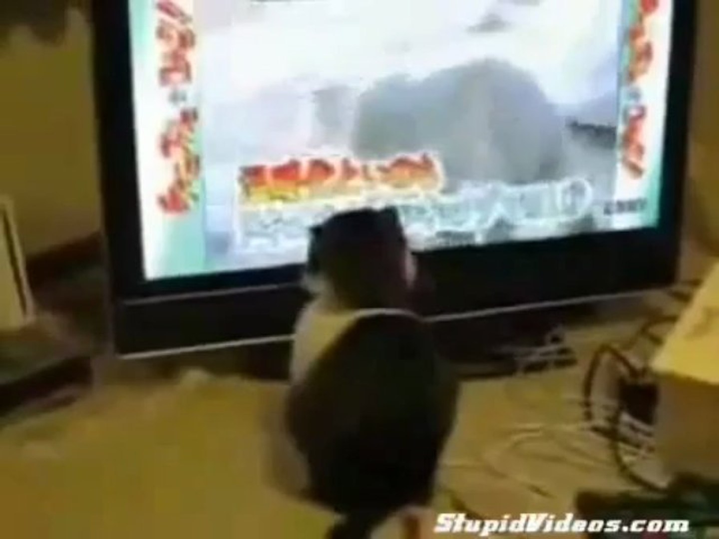 PET PRESTİJ / PET SÜPERMARKET