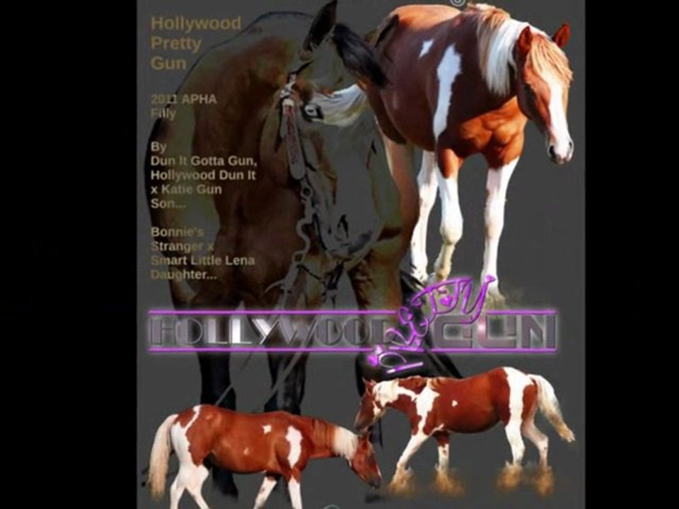 Hollywood pretty gun dun gotta gun reining horse for sale europe