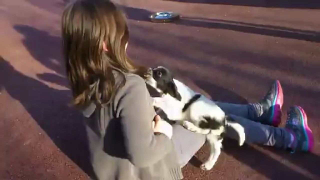 INDIA aime les Enfants ! (19 mars 2013)