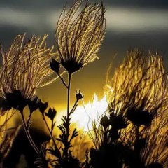 AŞK - ZARA & EKREM DÜZGÜNOĞLU