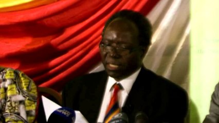 Les Zimbabwéens approuvent massivement la nouvelle constitution