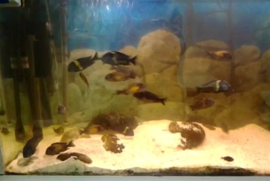 video-2013-03-19-19-57-57