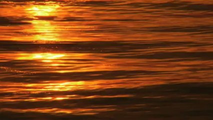 Signatures A Sweetgrass Procuction Films