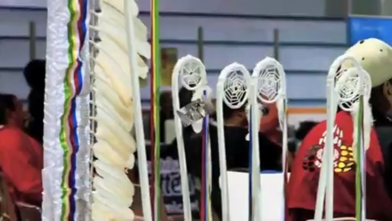 Shy-Anne - The Awakening