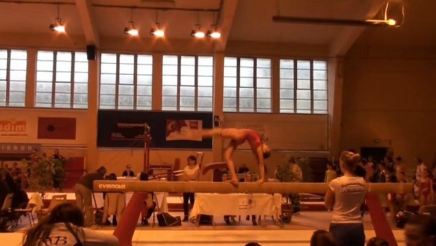 Championnat Régional Individuel Criterium National 17 mars 2013