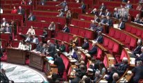 Questions au Gouvernement -- Réponse de Pierre Moscovici à Michèle Bonneton [19 mars 2013]