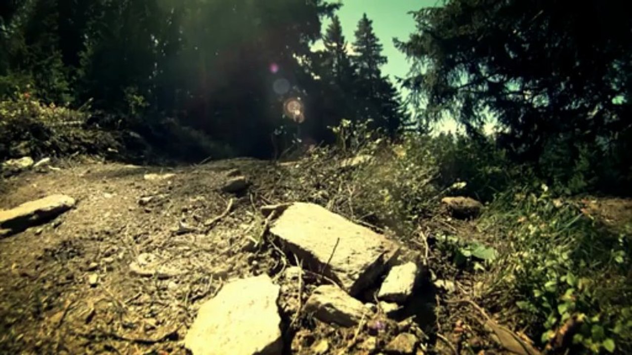 What Is Mountain Biking About